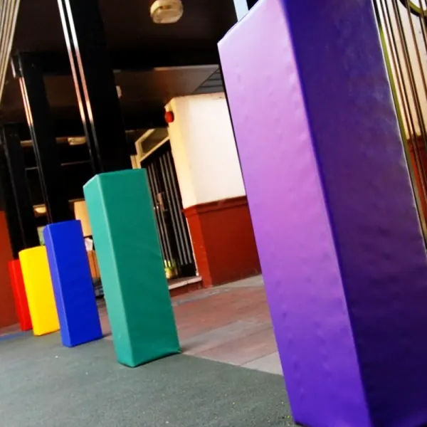 Protectores de Columna